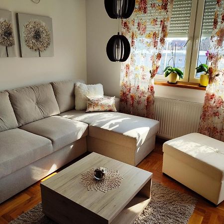 Apartment Rosa Νόβι Σαντ Εξωτερικό φωτογραφία