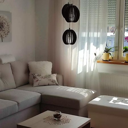 Apartment Rosa Νόβι Σαντ Εξωτερικό φωτογραφία