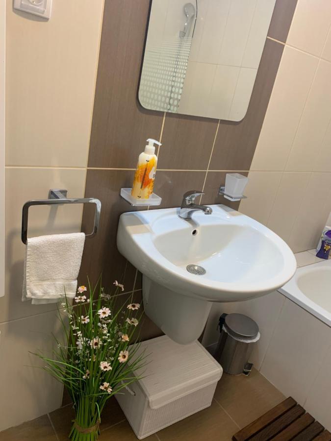 Apartment Rosa Νόβι Σαντ Εξωτερικό φωτογραφία