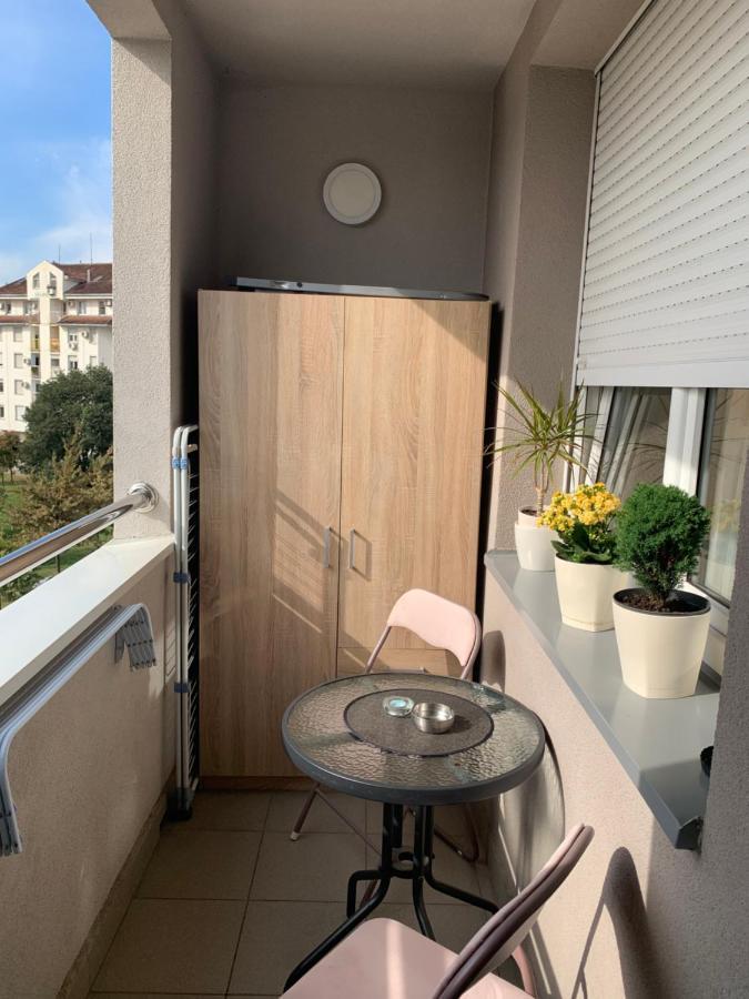 Apartment Rosa Νόβι Σαντ Εξωτερικό φωτογραφία