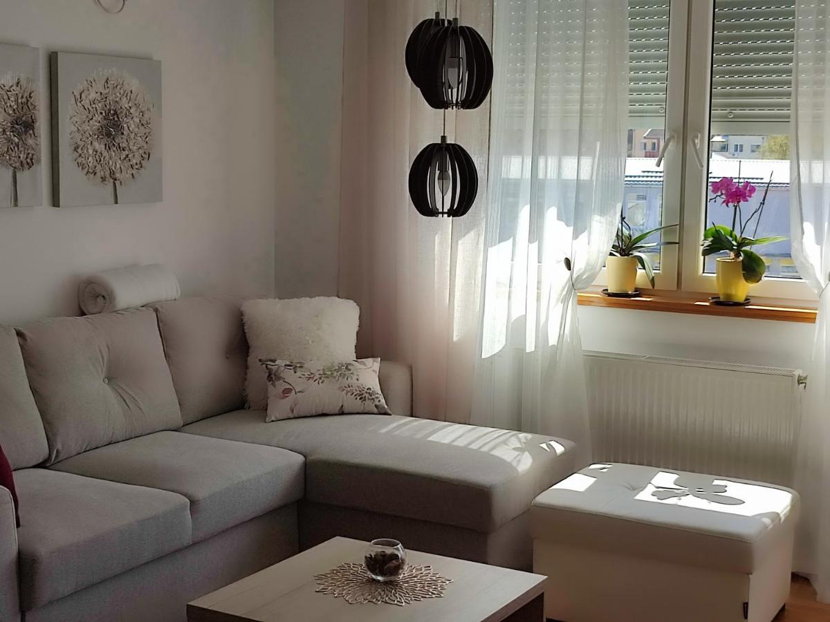 Apartment Rosa Νόβι Σαντ Εξωτερικό φωτογραφία